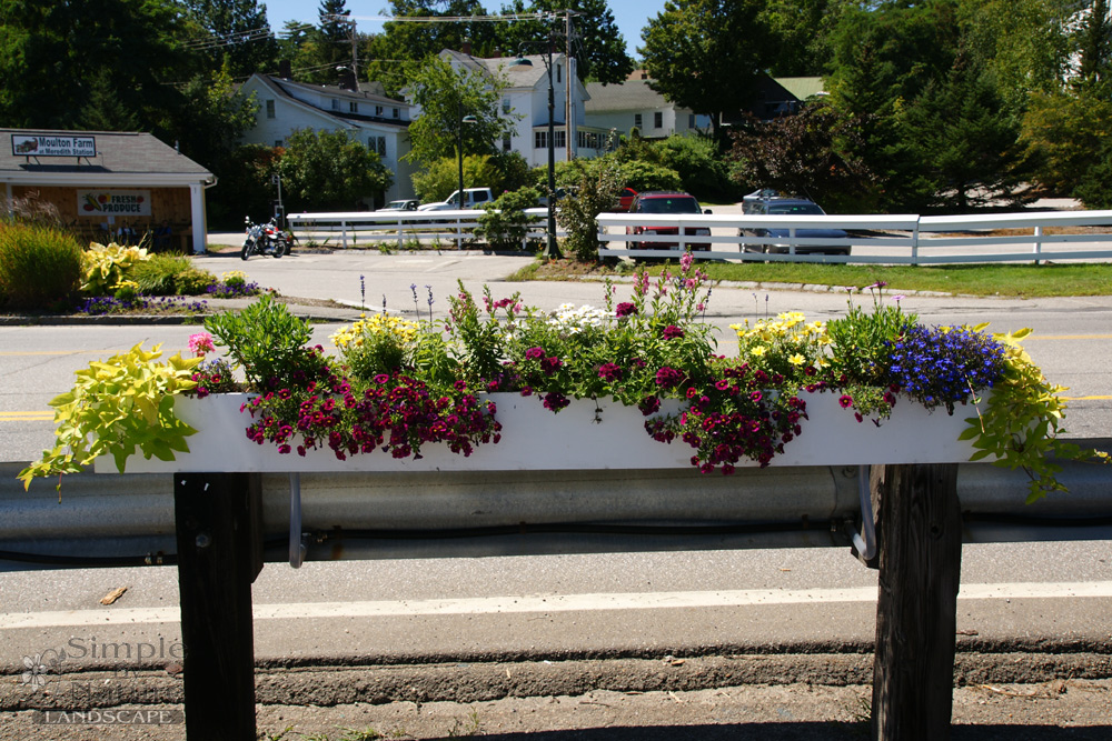public-space-flowers