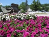 commercial-flower-beds-2