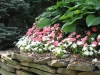 fieldstone-wall